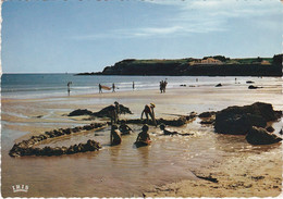 ILE D'YEU. Anse Des Vieilles - Ile D'Yeu