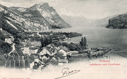 SUISSE,SCHWEIZ,SVIZZERA,SWITZERLAND,HELVETIA,SWISS ,SAINT GAL,SAINT GALLEN,WEESEN,1900,SEE GASTER - Saint-Gall