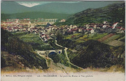 BELLEGARDE     VUE GENERALE - Bellegarde-sur-Valserine