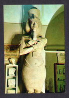 Egypte - Musée Du CAIRE - Statue Colossale En Calcaire Du Roi Akhnaton 1372 Ac Chr. - Musées