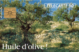 Carte à Puce - France - France Télécom -Huile D'olive, Réf.0282, Variété Dentelée Haut, B260W0029 - 1992
