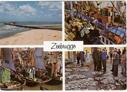 ♥️ Zeebrugge-vissersboten-Visserij-Vismijn (DOOS.12) Zeebrugge - Zeebruges - Zeebrugge