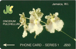 JAMAICA - ONCIDIUM PULCHELLUM - 11JAMA - Jamaica