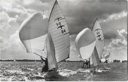 Pays Bas  -       Breukelen  -      Jachhaven De Opbouw  Singels   -    Valken Op Het Spinnakerrak - Cachet   Bewegend - Breukelen