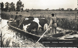 Pays Bas  -    Giethoorn  -  Hollands  Venetie  Veevervoer - Giethoorn