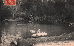 13 / MARSEILLE/  JARDIN ZOOLOGIQUE / LE LAC / LACOUR 3461 - Cinq Avenues, Chave, Blancarde, Chutes Lavies