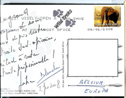 Carte Vue Avec Un éléphant  Obl. 04/02/2008 - Covers & Documents