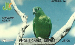 JAMAICA - AMAZONA AGILIS - 8JAMA - Jamaica