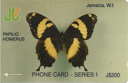 JAMAICA - PAPILO HOMERUS - 8JAMD - Jamaïque