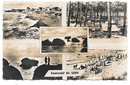 85 - SOUVENIR DE SION Sur L'OCÉAN - Multi Vues : Plages Rochers Forêt - Ed. Jehly-Poupin - 1955 - Saint Hilaire De Riez