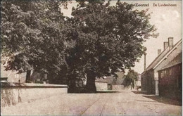 ZOERSEL - ZOERZEL - De Lindenboom - Oblitération De 1930 - Zörsel