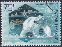 Specimen, Hungary Sc4109 Polar Region & Glaciers Preservation, Polar Bear, Ours Polaire - Préservation Des Régions Polaires & Glaciers