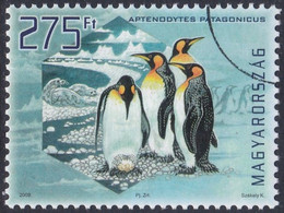 Specimen, Hungary Sc4112 Polar Region & Glaciers Preservation, Penguin, Manchot - Preservar Las Regiones Polares Y Glaciares