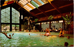 Minnesota Minneapolis The Curtis Hotel And Motor Lodge Tropical Pool - Minneapolis