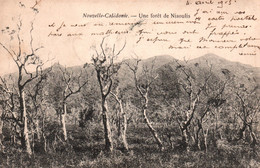Nouvelle Calédonie - Une Forêt De Niaoulis - Carte De 1905 - Nieuw-Caledonië