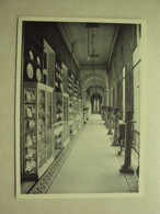 50323 - MUSEE DE MARIEMONT - LA GALERIE DES PORCELAINES DE TOUNAI - ZIE 2 FOTO'S - Morlanwelz