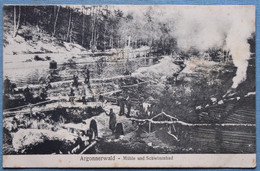 Cpa Allemande Argonnerwald - Mühle Und Schwimmbad - Argonne Moulin Et Piscine Feldpost - Guerre 1914-18