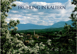 Frühling In Kaltern (505/264) * 29. 4 1986 - Non Classés