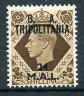 British Occ. Italian Colonies - Tripolitania - 1950 B.A. - 24l On 1/- Bistre-brown HM (SG T23) - Tripolitaine