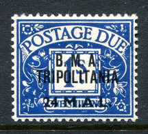 British Occ. Italian Colonies - Tripolitania - 1948 Postage Dues - B.M.A. - 24l On 1/- Deep Blue LHM (SG TD5) - Tripolitaine