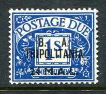 British Occ. Italian Colonies - Tripolitania - 1950 Postage Dues - B.A. - 24l On 1/- Deep Blue HM (SG TD10) - Tripolitania