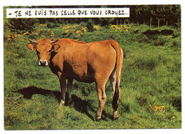 Humour -- Animaux Humoristiques -- Vache " Je Ne Suis Pas Celle Que Vous Croyez ... "...........à Saisir - Humor