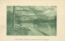 Bruxelles 1911; Troupeau De Moutons Au Bois De La Cambre - Voyagé. - Forêts, Parcs, Jardins