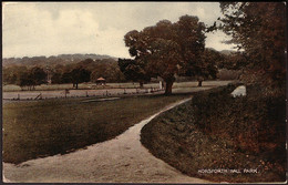 Horsforth Hall Park, Leeds, Yokshire, C.1920s - RAP Co Postcard - Leeds