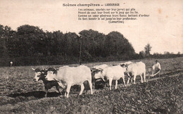 Scènes Champêtres - Labourage (avec Poème De Lamartine) Edition P. Charvet - Cultures