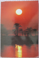 BAHRAIN PERSIAN GULF NABEEH SALEH ISLAND CARTE POSTALE POSTCARD ANSICHTSKARTE CARTOLINA PHOTO CARD CP PC AK - Bahrain