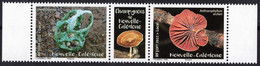 2022 - Champignons De Nouvelle Calédonie - Champignons / Mushrooms Neuf ** - Unused Stamps