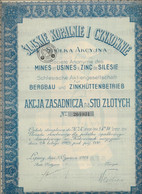 SOCIETE DES MINES ET USINES A ZING DE SILESIE - ACTION ORDINAIRE DE CENT ZLOTY -ANNEE 1924 - Mines