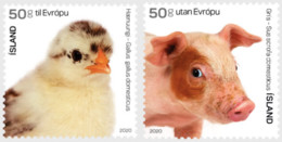 Iceland 2020 The Young Of Icelandic Domestic Animals Set Of 2 Stamps Mint - Usados