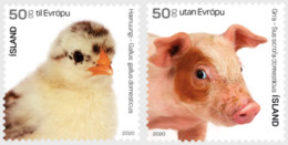 Iceland 2020 The Young Of Icelandic Domestic Animals Set Of 2 Stamps Mint - Landbouw