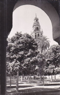 QR - Lote 3 Cartes - CORDOBA (Spain) - Mezquita - 5 - 99 Postcards