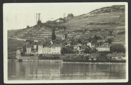VIGNOBLE VAUDOIS - Rebberge Im Waadtland - 1925 Old Postcard (see Sales Conditions) 06441 - Le Vaud