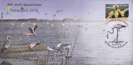 FLAMINGOS AT CHILKA LAKE INDIA- UNIQUE CANCEL- SPECIAL COVER-INDIA-2016 - BX2-39 - Flamingos