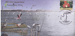 FLAMINGOS AT CHILKA LAKE INDIA- UNIQUE CANCEL- SPECIAL COVER-INDIA-2016 - BX2-39 - Flamants