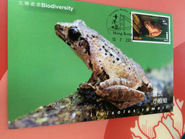 Hong Kong Stamp M.card Frog Biodiversity - Cartoline Maximum