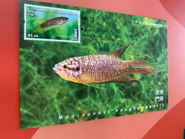 Hong Kong Stamp M.card Fighting Fish Biodiversity - Tarjetas – Máxima