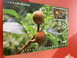 Hong Kong Stamp M.card Medical Fruit Biodiversity - Maximumkarten