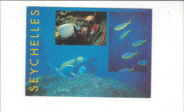 SEYCHELLES  POISSONS MULTIVUES   ***    RARE    A  SAISIR **** - Seychelles