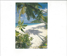 SEYCHELLES    INTENDANCE MAHE             ***  RARE     A  SAISIR **** - Seychelles