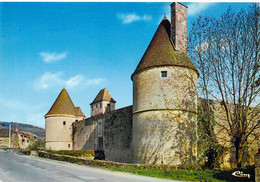 21 - Posanges - Le Château - Sonstige & Ohne Zuordnung