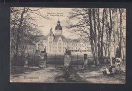 Dt. Reich AK Neustrelitz Schloss 1915 - Neustrelitz