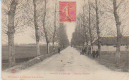 (71) VERDUN- S/-le-DOUBS . Allée Du Chauvort - Sonstige & Ohne Zuordnung