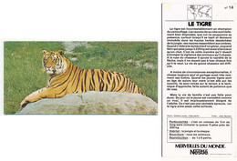 Image, Fiche Illustrée, Photo MERVEILLES DU MONDE De Nestlé N° 14 LE TIGRE - Animals
