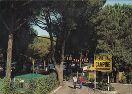 CARTOLINA  MARINA DI BIBBONA,LIVORNO,TOSCANA,INTERNAZIONAL CAMPING,MARE,SOLE,VACANZA,LUNGOMARE,VIAGGIATA 1974 - Livorno