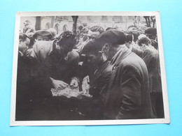 Onderwerp WW2 ( Duitse Bezetting > N° 484 > " PHOTOREX " Antwerpen ) > Scans ( 24 X 17,5 Cm. ) ! - Krieg, Militär
