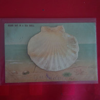 HERNE BAY IN A SEA SHELL - Dreh- Und Zugkarten